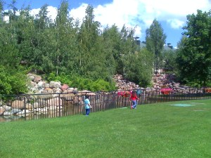 Kumbang dengan Bunga