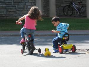 Bright Eyed Bushy Tailed Summer Bugs