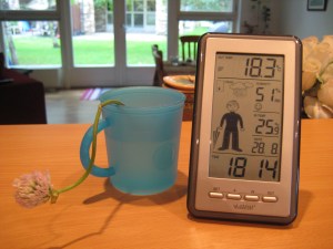 I put my faith on the kitchen countertop now.