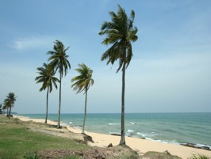 Abang sayang, abang di mana? Hati risau mengenang dikau...