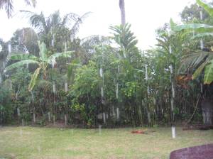 Gerimis di laman bonda...