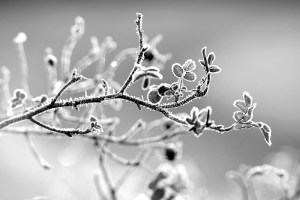 Cold cold heart hard done by you...