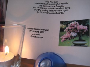 My Italian Swiss Rose.