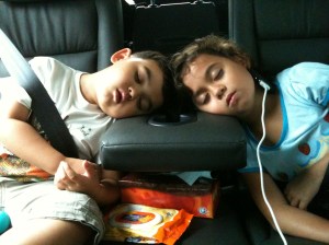 My Siamese twins Monchies. Joined at the head and heart.