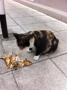 The path of good intention...