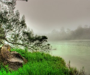 Entah ladang yang mana lah nanti...