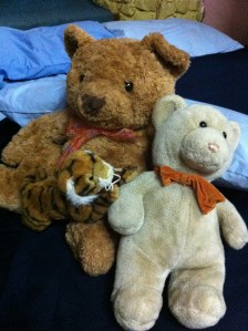 The Hairy Fairies...