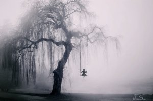 weeping-willow